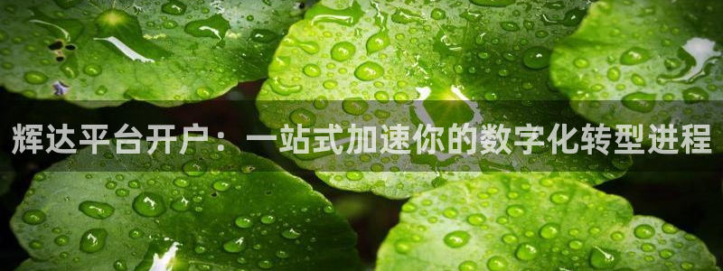 幸运彩app官网入口
