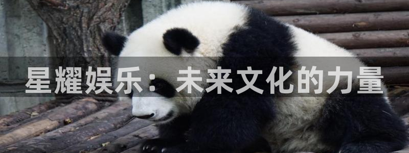 幸运彩app官网入口