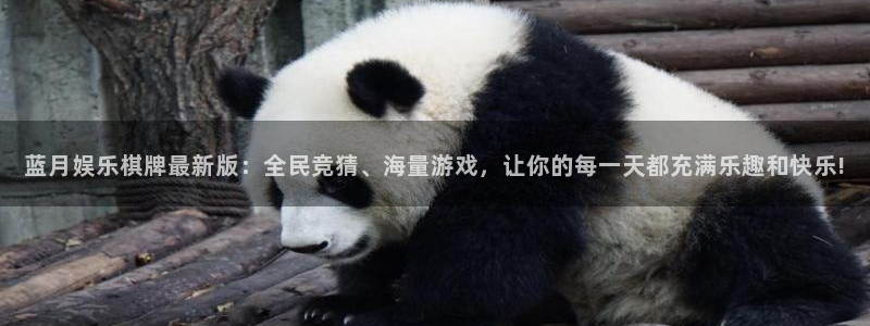 幸运彩9815