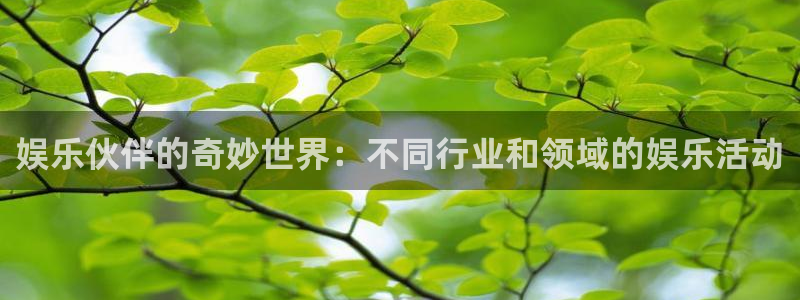 幸运彩官网入口：娱乐伙伴的奇妙世界：不同行业和领域的娱乐活动