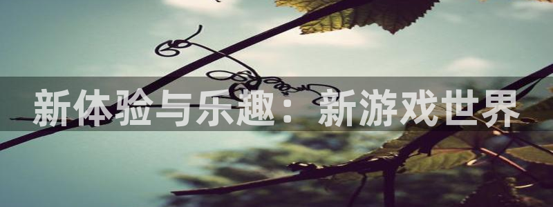 幸运彩官网
