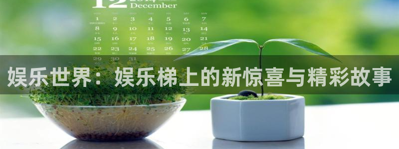 幸运彩app官网入口