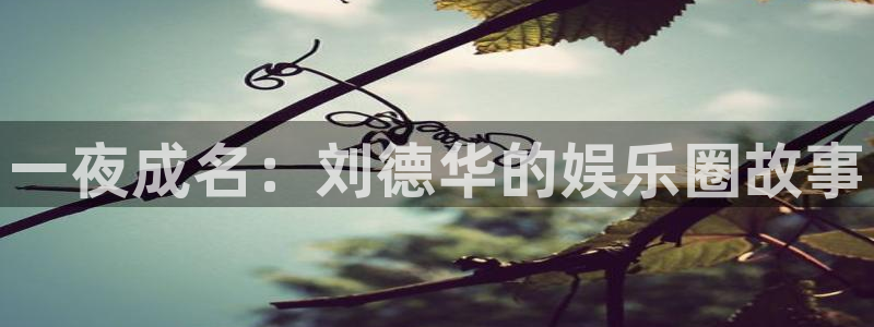 幸运彩welcome官网入口app：一夜成名：刘德华的娱乐圈故事