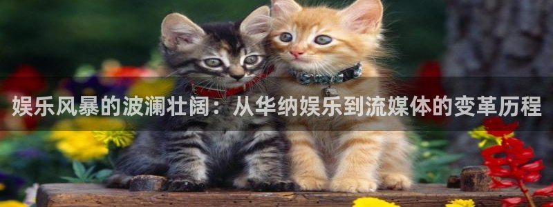 幸运彩官网：娱乐风暴的波澜壮阔：从华纳娱乐到流媒体的变革历程